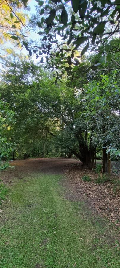Homestay Bird Songs Getaway Cabbage Tree Creek