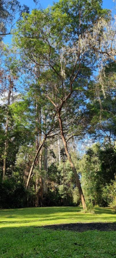 Bird Songs Getaway * Cabbage Tree Creek